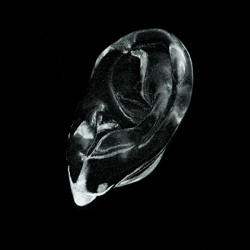 The Ear Voucher NFT. Source: [[https://opensea.io/item/polygon/0xe1c43d4cf2c7823f9f4adabf1df1513b7df4a189/3|OpenSea]]
