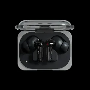 ear_a_black.webp