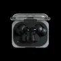 ear_a_black.webp