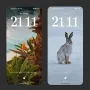 lock_glimpse.webp